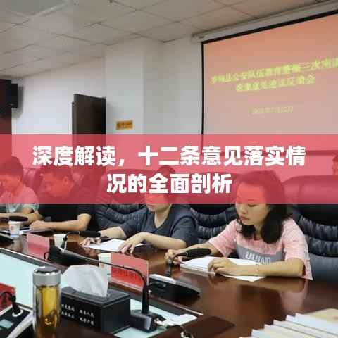 深度解读，十二条意见落实情况的全面剖析