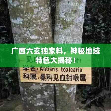 雪中送炭