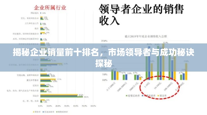揭秘企业销量前十排名,市场领导者与成功秘诀探秘