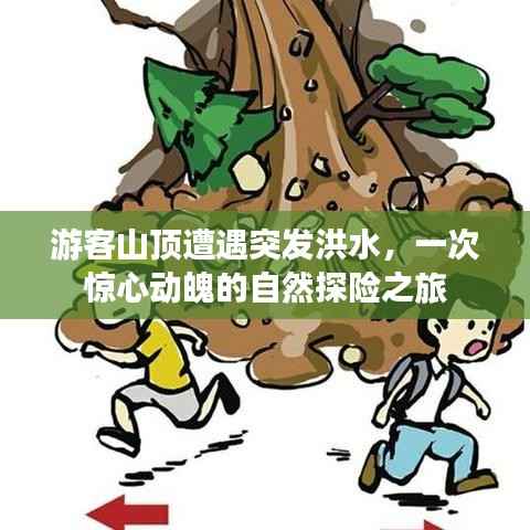 游客山顶遭遇突发洪水,一次惊心动魄的自然探险之旅