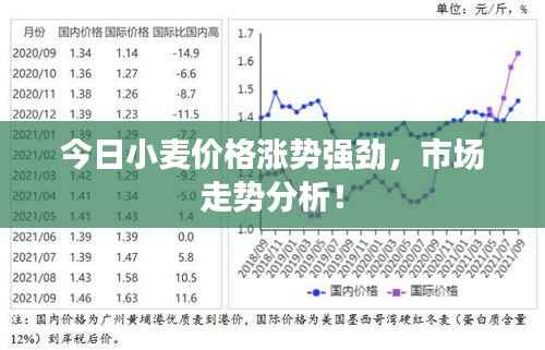 今日小麦价格涨势强劲,市场走势分析!