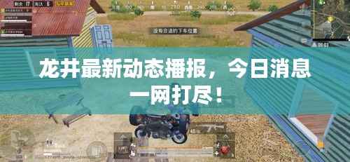 龙井最新动态播报，今日消息一网打尽！